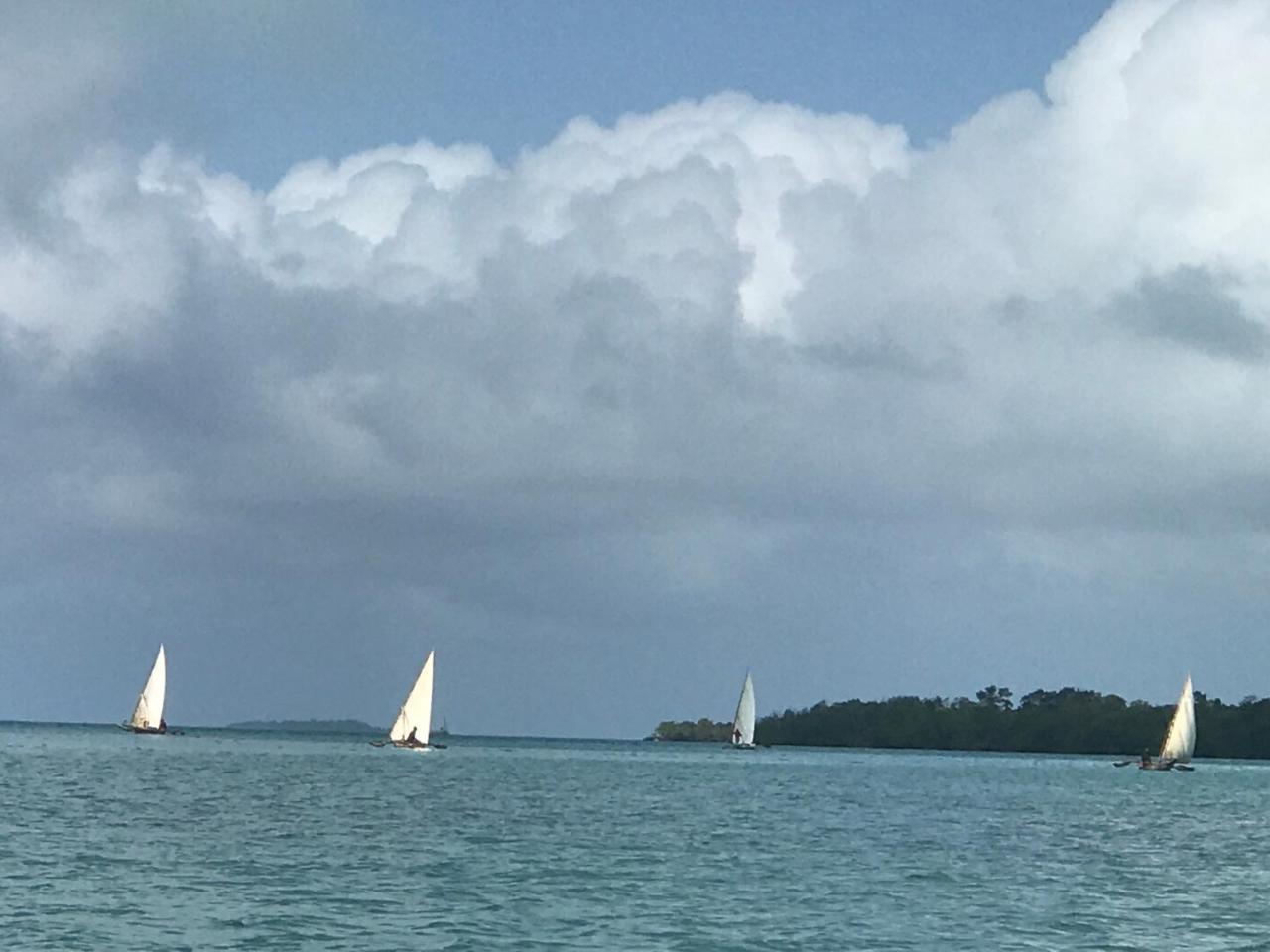 Rum i privatbostad Moringe - Jambiani (Zanzibar)