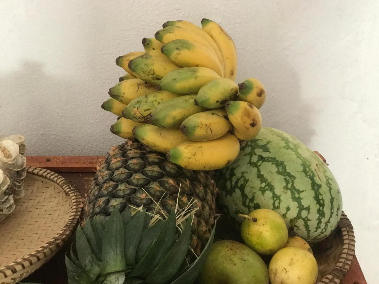 Moringe - Rum i privatbostad Jambiani (Zanzibar)